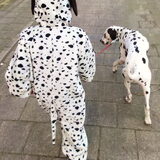 Carnaval