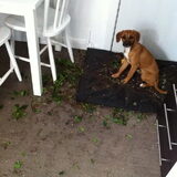 Welkom thuis??!!