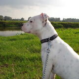 Foto van Jeroen & Lola