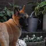 Onze kleine Deugniet