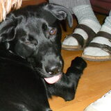 ;p ;p ;p