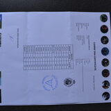 dna document Elena