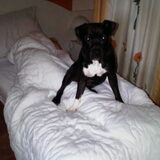 mijn bodyguard