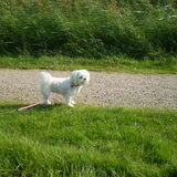 25-09-2011 CHICKA