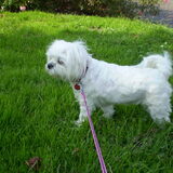 25-09-2011 CHICKA