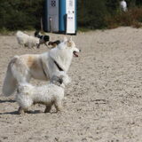 Foto van Romy en Joep
