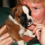 Fred 4 weken oud!