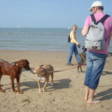 Foto van Mark  en Juno