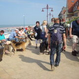 Foto van Mark  en Juno