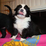 Foto van Joanne