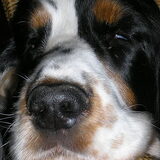 Foto van Karina@Jerry