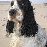 Foto van Karina@Jerry