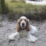 Foto van Karina@Jerry