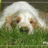 Foto van Karina@Jerry
