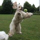 Crea foto :P Dusty!!!