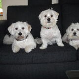 Mooie familie.