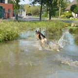 Foto van Brienne