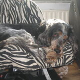 Foto van Laurien, Joep & Jay