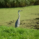 28-09-2011 Ik sta op wacht