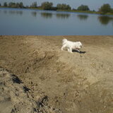 28-09-2011 CHICKA