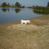 28-09-2011 CHICKA OP EEN STRANDJE WAAR ZE EIGENLIJK NIET MAG KOMEN