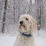 Ik hou ontzetend veeeeel van sneeuw en poseren is daarom ook geen enkel…