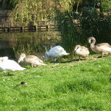 28-09-2011 gewoon een mooi koppel