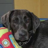 lieve Bo in ons gastgezin