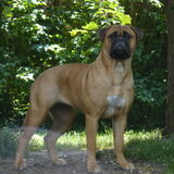 Lola 18 maanden oud