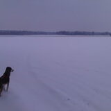 Knor helemaal in haar element.