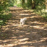 29-09-2011 CHICKA HOORT WEER WAT IN HET BOS