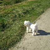 29-09-2011 WAT HOOR IK DAAR
