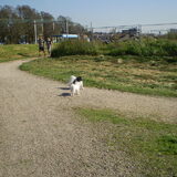 29-09-2011 HEY LEUKKKKKK EVEN SPELENNNNNNNNN
