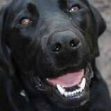 big smile!
