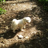 30-09-2011 WAT HOOR IK DAAR