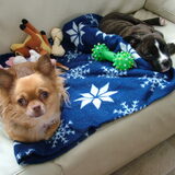 Foto van Jimmy -Anneke - doggy's: Zoë en Angie