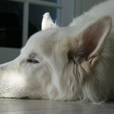 Foto van Faelyn