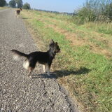 Foto van Sanne