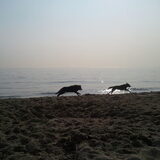 Lekker losgaan op het strand