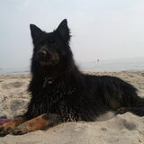Rashja Sphinx on the beach...