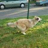 Foto van Julie & Yucca <3