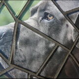 Close Up..