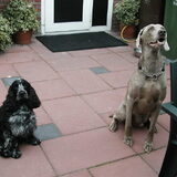 Samen in de tuin