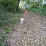 ZELFS DAT GING GOED, IK RIEP CHICKA ZE KWAM DIRECT TERUG, DEZE HOND WAS…
