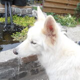 Eros, onze knappe man
