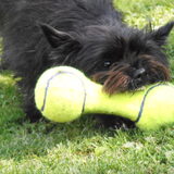 Foto van Marlies