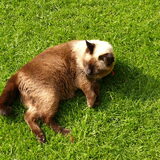 Foto van Eef en Tjibbe