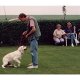 De uitvoering,van het geleerde.(jazzy) Toen ging alles fout wat maar…