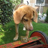 'En wie mag jij dan wel wezen?'