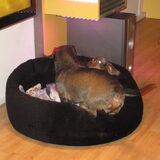 Even lekker spelen samen!!!
